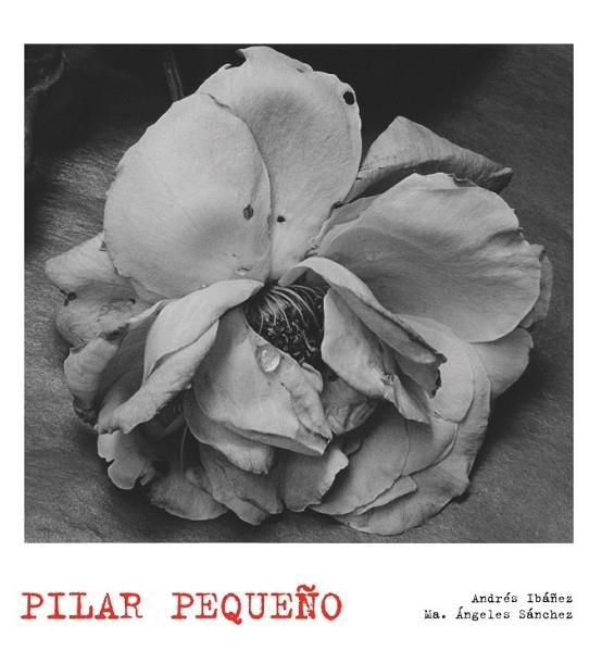 PILAR PEQUEÑO | 9788497856874 | IBAÑEZ, ANDRES Y SANCHEZ, MARIA ANGELES | Llibreria Online de Vilafranca del Penedès | Comprar llibres en català