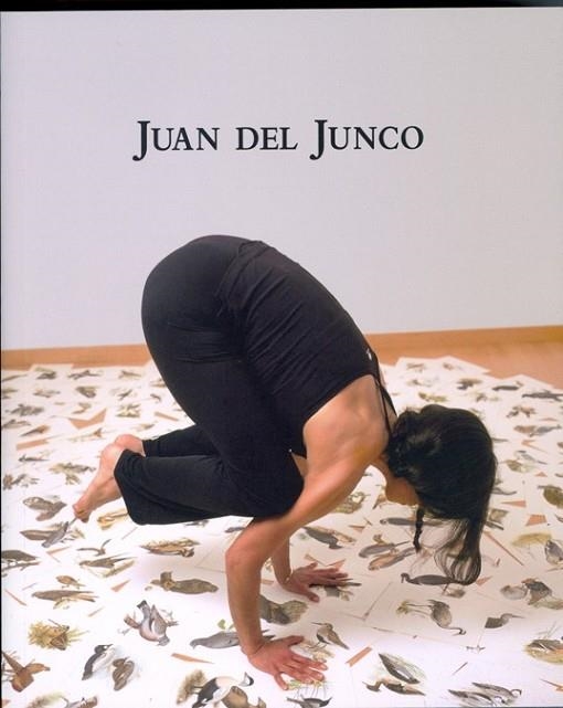 JUAN DEL JUNCO | 9788499270630 | DEL JUNCO, JUAN | Llibreria Online de Vilafranca del Penedès | Comprar llibres en català