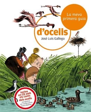 LA MEVA PRIMERA GUIA D'OCELLS (+CD) | 9788424633721 | GALLEGO, JOSÉ LUIS | Llibreria Online de Vilafranca del Penedès | Comprar llibres en català