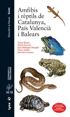 AMFIBIS I REPTILS DE CATALUNYA PAIS VALENCIA I BALEARS | 9788496553538 | AA.VV | Llibreria L'Odissea - Libreria Online de Vilafranca del Penedès - Comprar libros