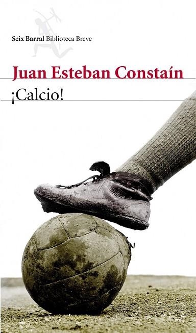 CALCIO | 9788432209604 | ESTEBAN CONSTAIN, JUAN | Llibreria Online de Vilafranca del Penedès | Comprar llibres en català