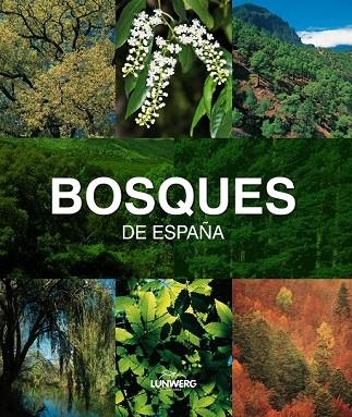 BOSQUES DE ESPAÑA. LUNWERG MEDIUM | 9788497857482 | JOAQUÍN ARAÚJO | Llibreria Online de Vilafranca del Penedès | Comprar llibres en català