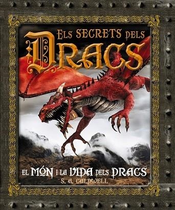 ELS SECRETS DELS DRACS | 9788480169967 | - | Llibreria L'Odissea - Libreria Online de Vilafranca del Penedès - Comprar libros