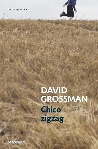 CHICO ZIGZAG | 9788499894805 | GROSSMAN, DAVID | Llibreria L'Odissea - Libreria Online de Vilafranca del Penedès - Comprar libros