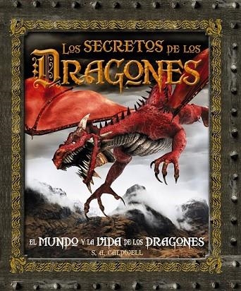 LOS SECRETOS DE LOS DRAGONES | 9788480169950 | - | Llibreria L'Odissea - Libreria Online de Vilafranca del Penedès - Comprar libros