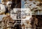 ELS CAPITELLS DEL CLAUSTRE DE SANTES CREUS | 9788497913386 | AAVV | Llibreria L'Odissea - Libreria Online de Vilafranca del Penedès - Comprar libros