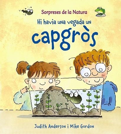 HI HAVIA UNA VEGADA UN CAPGROS | 9788448926151 | ANDERSON, JUDITH Y GORDON, MIKE | Llibreria Online de Vilafranca del Penedès | Comprar llibres en català