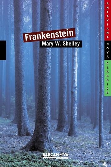 FRANKENSTEIN | 9788448930387 | SHELLEY, MARY | Llibreria Online de Vilafranca del Penedès | Comprar llibres en català