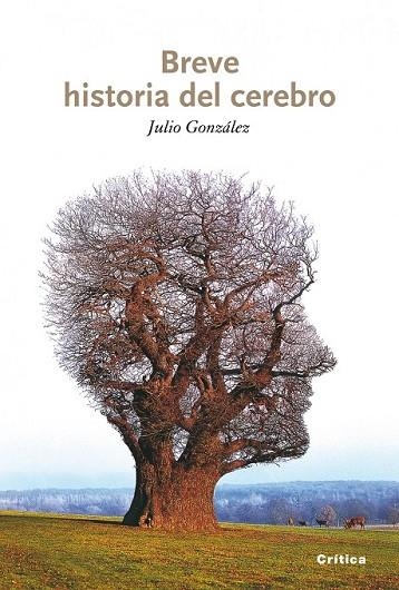 BREVE HISTORIA DEL CEREBRO | 9788498921151 | GONZALEZ ALVAREZ, JULIO | Llibreria Online de Vilafranca del Penedès | Comprar llibres en català