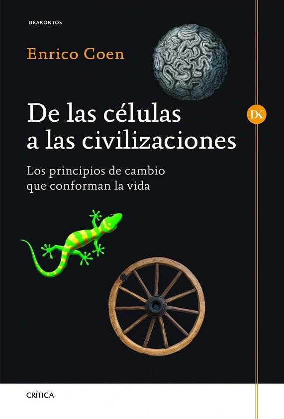 DE LAS CÉLULAS A LAS CIVILIZACIONES | 9788498924954 | COEN, ENRICO | Llibreria Online de Vilafranca del Penedès | Comprar llibres en català