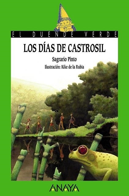 LOS DÍAS DE CASTROSIL | 9788467840636 | PINTO, SAGRARIO | Llibreria Online de Vilafranca del Penedès | Comprar llibres en català