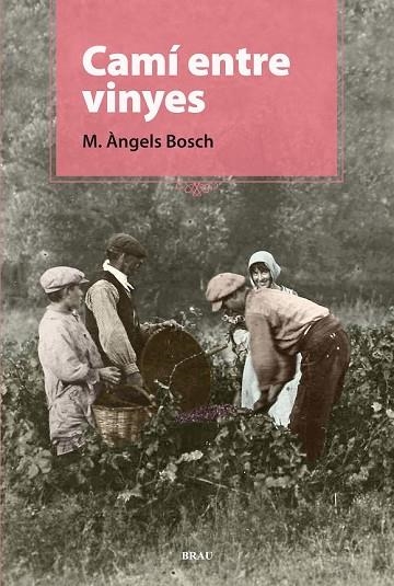 CAMÍ ENTRE VINYES | 9788496905924 | BOSCH, M. ÀNGELS  | Llibreria Online de Vilafranca del Penedès | Comprar llibres en català