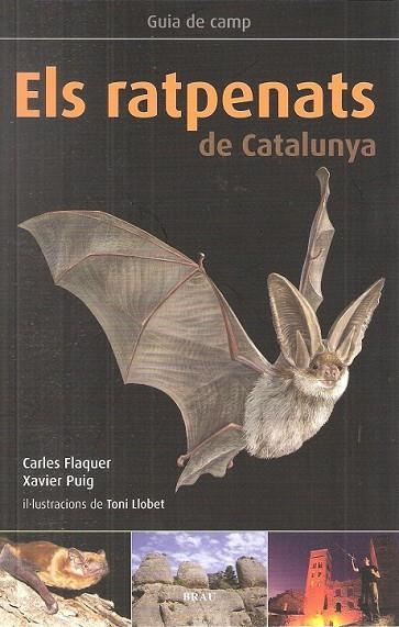 ELS RATPENATS DE CATALUNYA | 9788496905795 | FLAQUER, CARLES/ PUIG, XAVIER/ LLOBET, TONI | Llibreria Online de Vilafranca del Penedès | Comprar llibres en català