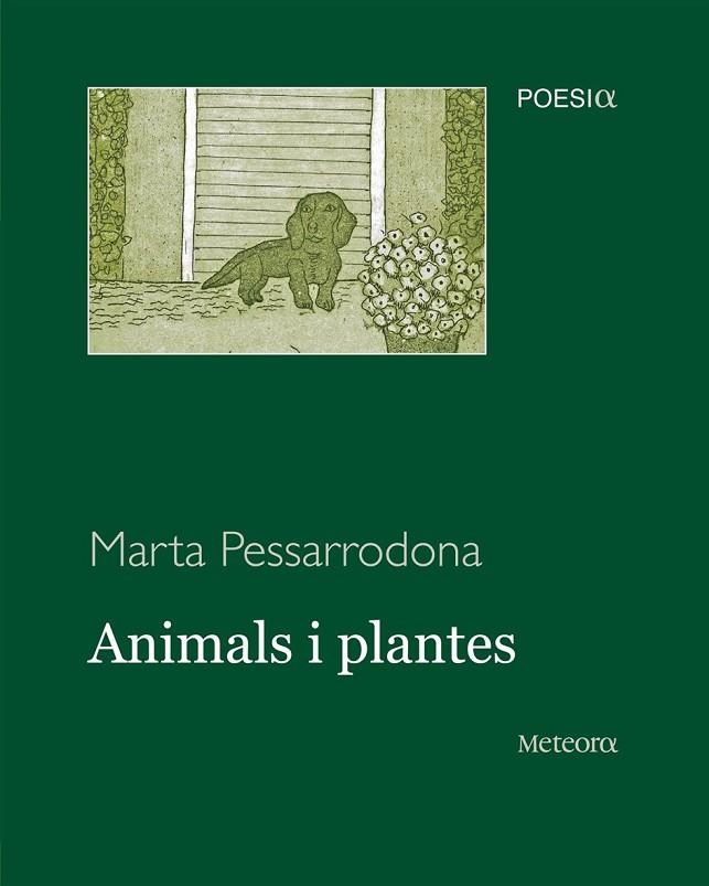 ANIMALS I PLANTES | 9788495623973 | PESSARRODONA, MARTA | Llibreria Online de Vilafranca del Penedès | Comprar llibres en català