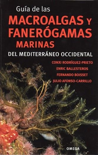 GUÍA DE LAS MACROALGAS Y FANERÓGAMAS MARINAS DEL MEDITERRANEO OCCIDENTAL | 9788428215923 | AA. VV. | Llibreria Online de Vilafranca del Penedès | Comprar llibres en català