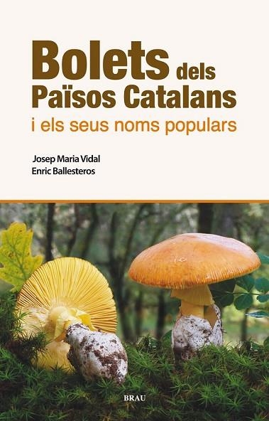 BOLETS DELS PAÏSOS CATALANS I ELS SEUS NOMS POPULARS | 9788496905986 | VIDAL, JOSEP MARIA / BALLESTEROS, ENRIC | Llibreria Online de Vilafranca del Penedès | Comprar llibres en català