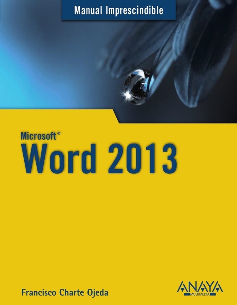 WORD 2013 | 9788441534131 | CHARTE, FRANCISCO | Llibreria Online de Vilafranca del Penedès | Comprar llibres en català