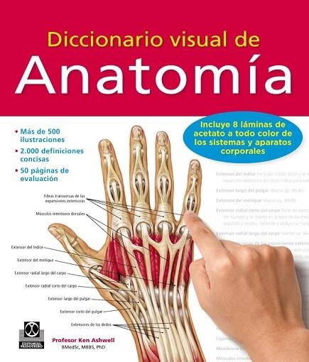 DICCIONARIO VISUAL DE ANATOMÍA | 9788499104522 | ASHWELL, KEN | Llibreria L'Odissea - Libreria Online de Vilafranca del Penedès - Comprar libros