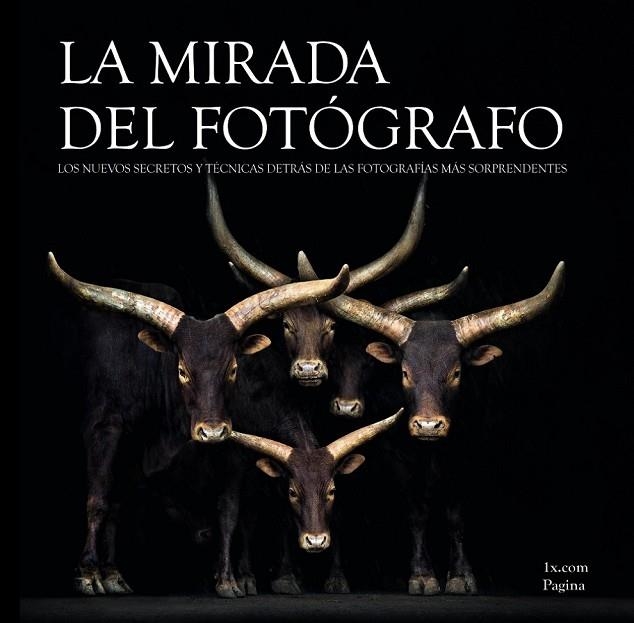 LA MIRADA DEL FOTÓGRAFO | 9788441534254 | 1X.COM | Llibreria Online de Vilafranca del Penedès | Comprar llibres en català