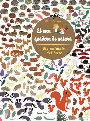 EL MEU QUADERN DE NATURA. ELS ANIMALS DEL BOSC | 9788415853299 | DIVERSOS AUTORS | Llibreria Online de Vilafranca del Penedès | Comprar llibres en català