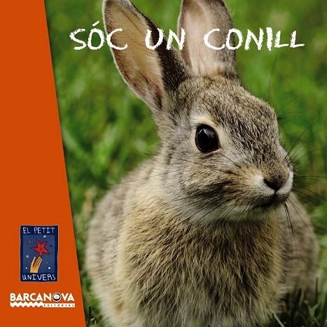 SÓC UN CONILL | 9788448932770 | AA. VV. | Llibreria Online de Vilafranca del Penedès | Comprar llibres en català