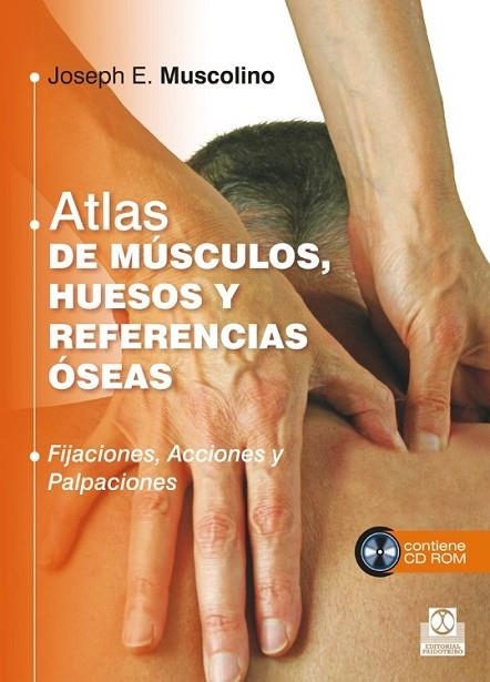 ATLAS DE MÚSCULOS, HUESOS Y REFERENCIAS ÓSEAS  LIBRO + CD | 9788499104409 | MUSCOLINO, JOSEPH E. | Llibreria Online de Vilafranca del Penedès | Comprar llibres en català