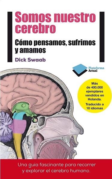 SOMOS NUESTRO CEREBRO | 9788415880769 | SWAAB, DICK | Llibreria Online de Vilafranca del Penedès | Comprar llibres en català