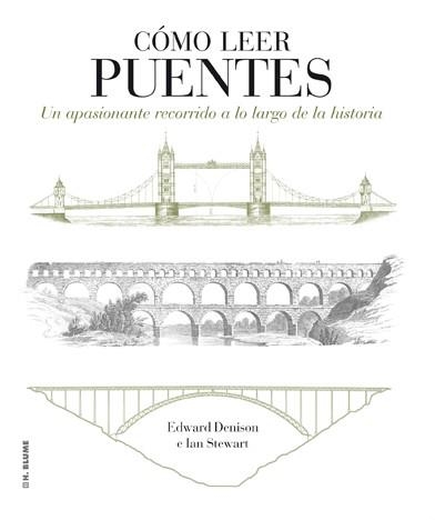 CÓMO LEER PUENTES | 9788496669871 | DENISON, EDWARD/STEWART, IAN | Llibreria L'Odissea - Libreria Online de Vilafranca del Penedès - Comprar libros