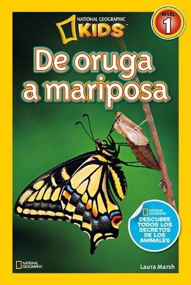 DE ORUGA A MARIPOSA | 9788482985619 | MARSH, LAURA | Llibreria Online de Vilafranca del Penedès | Comprar llibres en català