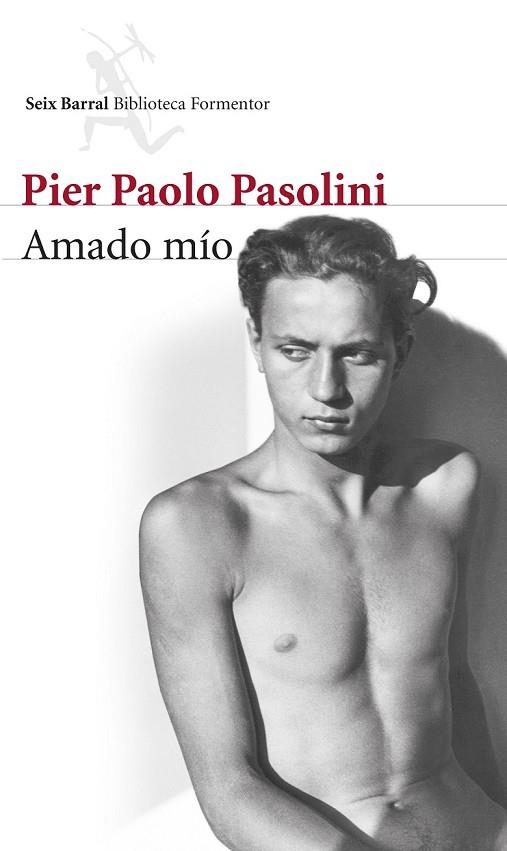 AMADO MÍO | 9788432222870 | PASOLINI, PIER PAOLO  | Llibreria Online de Vilafranca del Penedès | Comprar llibres en català