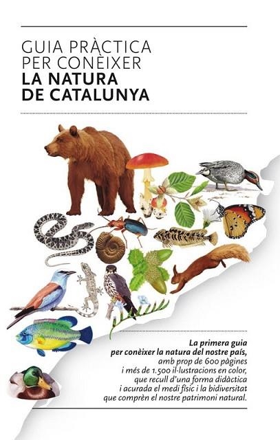 GUIA PRÀCTICA PER CONÈIXER LA NATURA DE CATALUNYA | 9788493662141 | AAVV | Llibreria Online de Vilafranca del Penedès | Comprar llibres en català