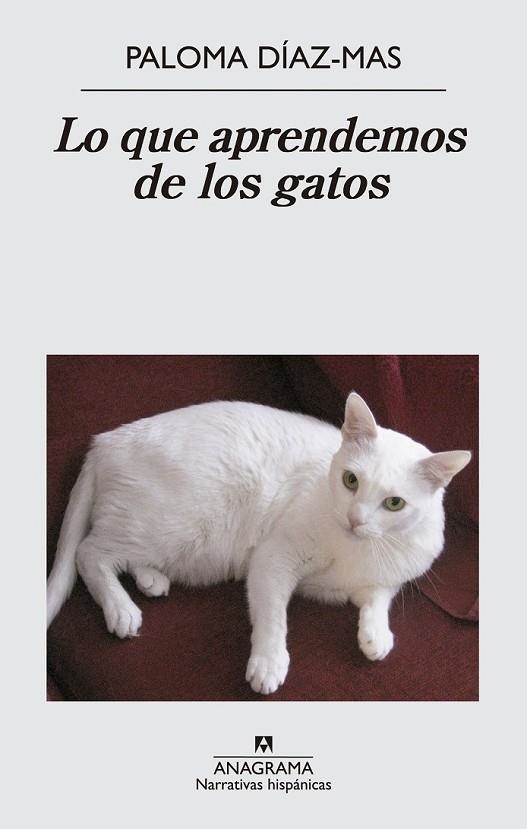 LO QUE APRENDEMOS DE LOS GATOS | 9788433997807 | DÍAZ MAS, PALOMA | Llibreria Online de Vilafranca del Penedès | Comprar llibres en català