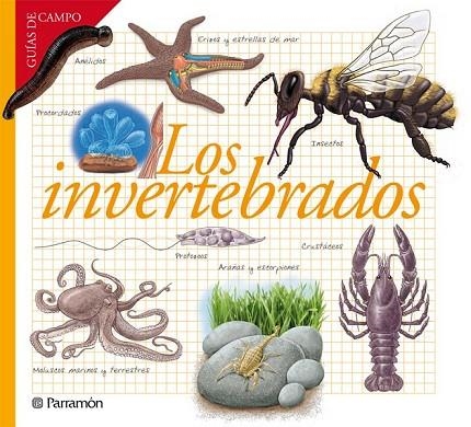 LOS INVERTEBRADOS | 9788434240599 | BARRES MANUEL, JOSEP M. | Llibreria Online de Vilafranca del Penedès | Comprar llibres en català