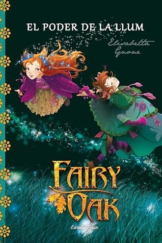 FAIRY OAK 3 EL PODER DE LA LLUM | 9788490575635 | GNONE, ELISABETTA | Llibreria Online de Vilafranca del Penedès | Comprar llibres en català