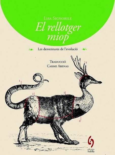 EL RELLOTGER MIOP | 9788494256424 | SIGNORILE, LISA | Llibreria L'Odissea - Libreria Online de Vilafranca del Penedès - Comprar libros