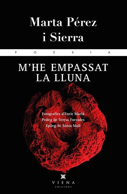 M'HE EMPASSAT LA LLUNA | 9788483308264 | PÉREZ I SIERRA, MARTA | Llibreria L'Odissea - Libreria Online de Vilafranca del Penedès - Comprar libros