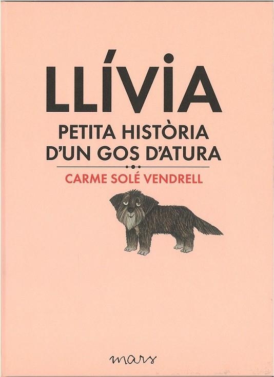 LLÍVIA PETITA HISTÒRIA D'UN GOS D'ATURA | 9788494273179 | SOLÉ VENDRELL, CARME | Llibreria L'Odissea - Libreria Online de Vilafranca del Penedès - Comprar libros