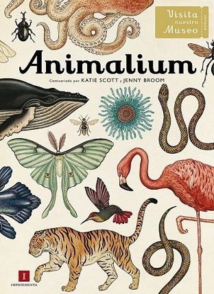 ANIMALIUM | 9788415979463 | SCOTT Y BROOM | Llibreria L'Odissea - Libreria Online de Vilafranca del Penedès - Comprar libros