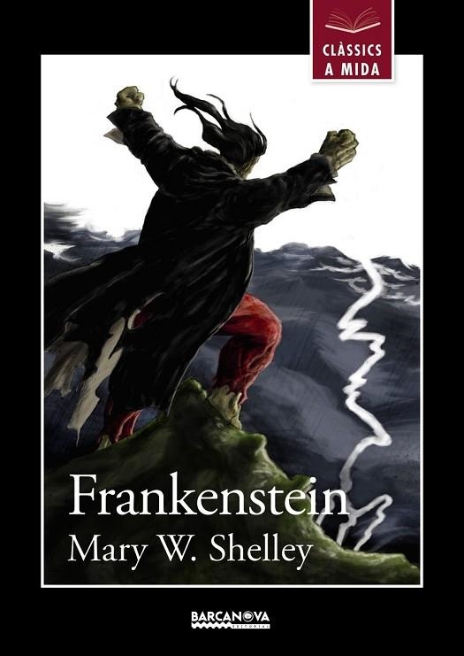 FRANKENSTEIN | 9788448934927 | SHELLEY, MARY W. | Llibreria Online de Vilafranca del Penedès | Comprar llibres en català