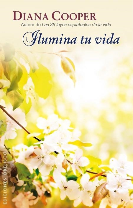 ILUMINA TU VIDA | 9788416192427 | COOPER, DIANA | Llibreria Online de Vilafranca del Penedès | Comprar llibres en català