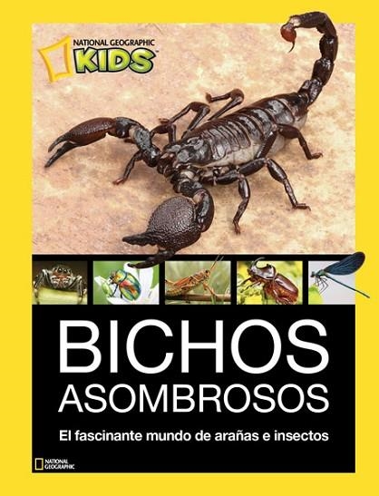 BICHOS ASOMBROSOS | 9788482986098 | AA. VV. | Llibreria Online de Vilafranca del Penedès | Comprar llibres en català