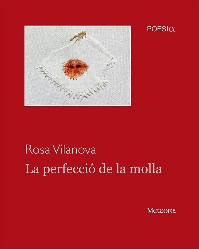 LA PERFECCIÓ DE LA MOLLA | 9788494362941 | VILANOVA TANÉ, ROSA | Llibreria L'Odissea - Libreria Online de Vilafranca del Penedès - Comprar libros