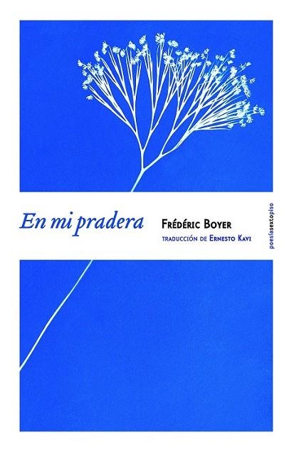 EN MI PRADERA | 9788416358038 | BOYER, FRÉDÉRIC | Llibreria Online de Vilafranca del Penedès | Comprar llibres en català