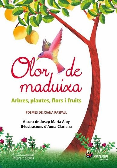 OLOR DE MADUIXA | 9788499757186 | RASPALL, JOANA | Llibreria Online de Vilafranca del Penedès | Comprar llibres en català