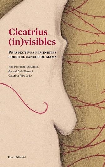 CICATRIUS INVISIBLES | 9788497665643 | PORROCHE ESCUDERO, ANA | Llibreria Online de Vilafranca del Penedès | Comprar llibres en català