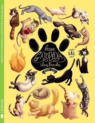 BREVE GATOPEDIA ILUSTRADA | 9788494469862 | ZARO SOTO, ZORAIDA | Llibreria Online de Vilafranca del Penedès | Comprar llibres en català