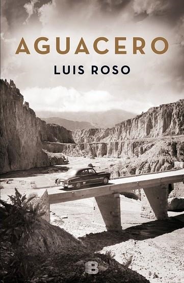 AGUACERO | 9788466659215 | ROSO, LUIS | Llibreria Online de Vilafranca del Penedès | Comprar llibres en català