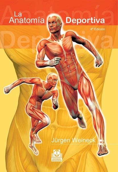 LA ANATOMIA DEPORTIVA | 9788480192095 | J.WEINECK | Llibreria L'Odissea - Libreria Online de Vilafranca del Penedès - Comprar libros