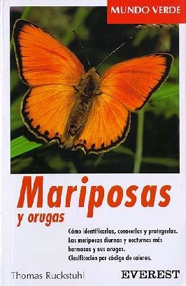 MARIPOSAS Y ORUGAS | 9788424127572 | TH.RUCKSTUHL | Llibreria Online de Vilafranca del Penedès | Comprar llibres en català