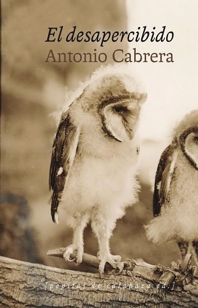 EL DESAPERCIBIDO | 9788415862611 | CABRERA SERRANO, ANTONIO | Llibreria Online de Vilafranca del Penedès | Comprar llibres en català